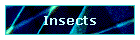 Insects