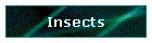 Insects